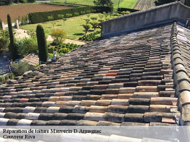 Réparation de toiture  mauvezin-d-armagnac-40240 Couvreur Riva